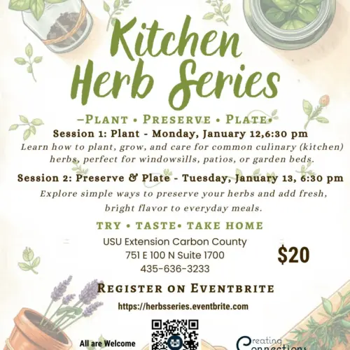 593719013_1453745442973506_4631779328853225400_n