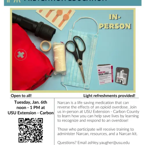 597201152_1399211815548352_3302387493935559615_n