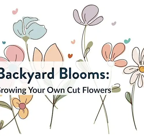 https___cdn-evbuc-com_images_1171460866_290728318569_1_original