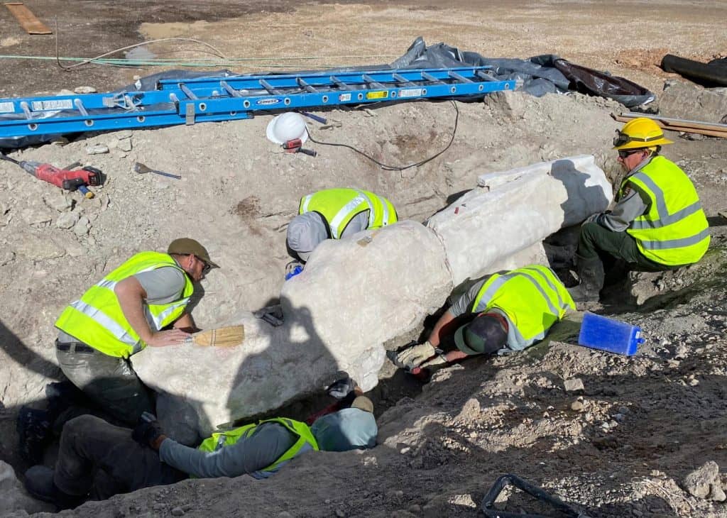 Dinosaur National Monument paleontologists uncover first new fossils since 1924