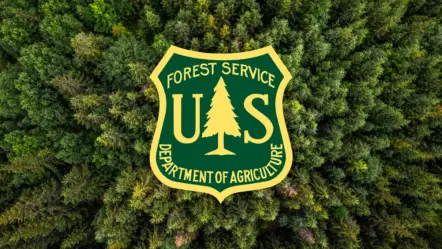 forest-service-generic