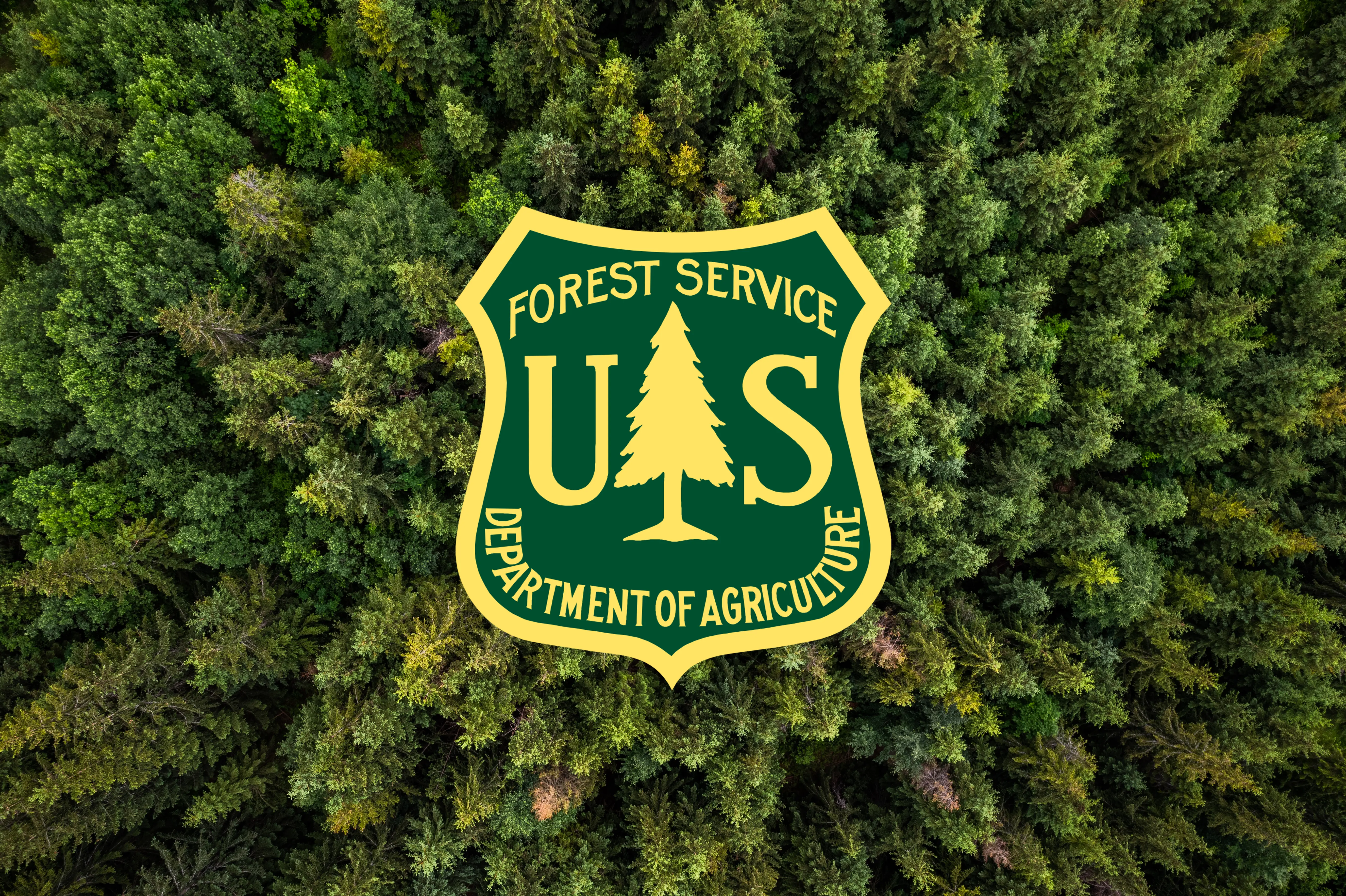 forest-service-generic