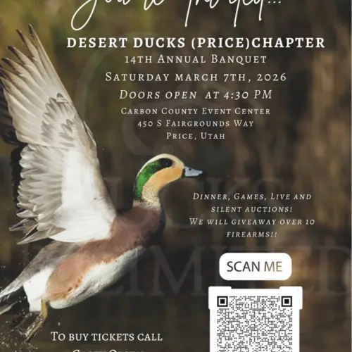 627658676_1343374437805288_4562564764353774957_n