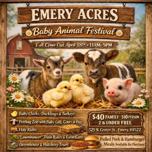 646750993_1435066211749385_1938230823796950304_n