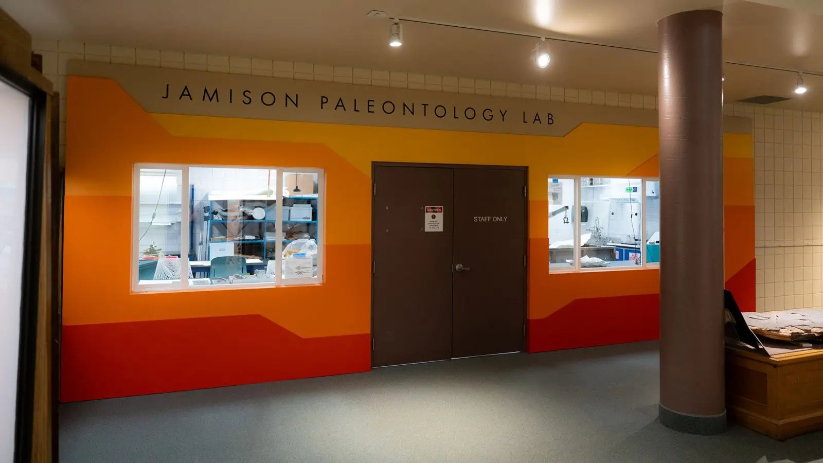 26_usue_paleontology-lab_11_ust