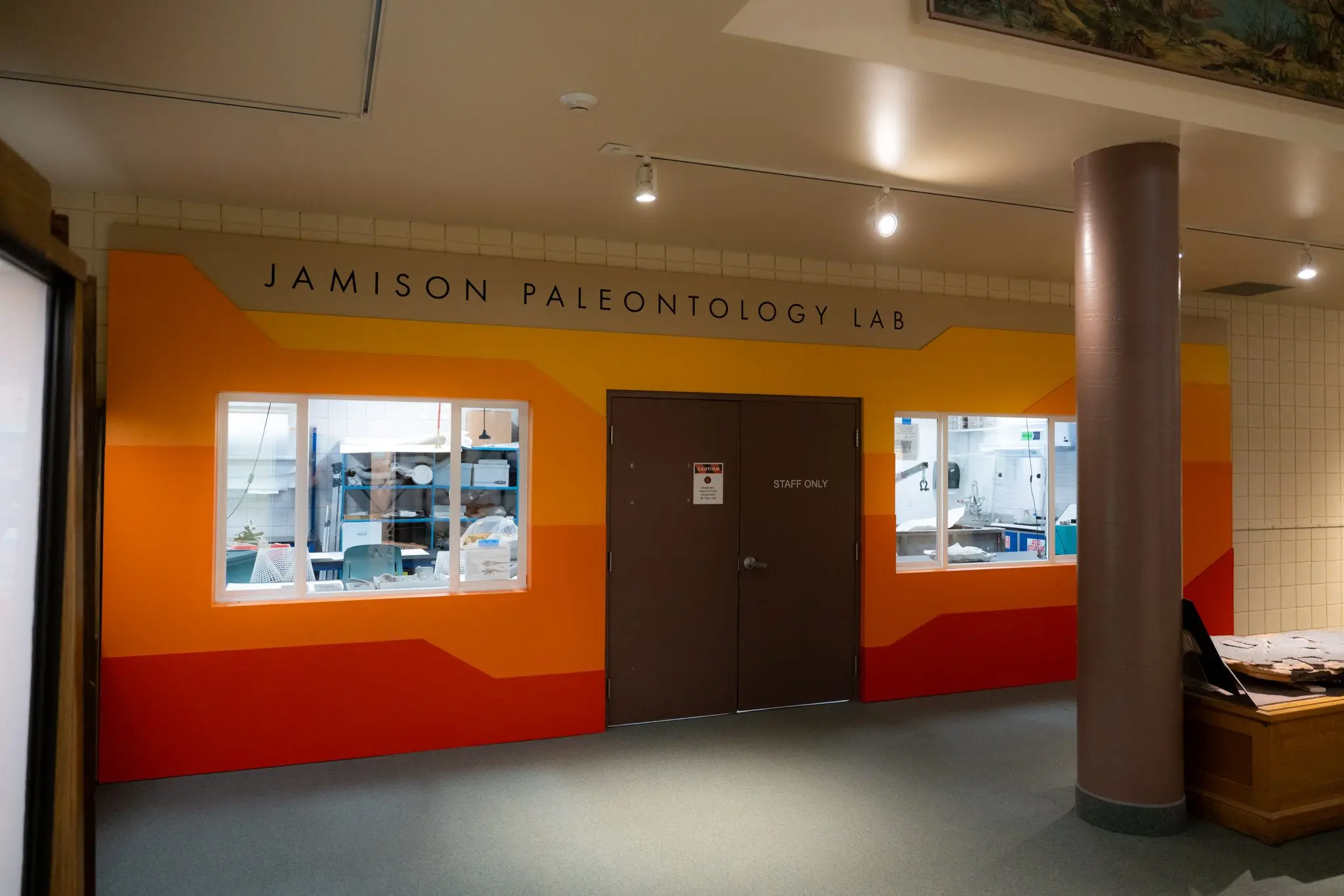 Jamison Paleontology Lab Open House at the Prehistoric Museum