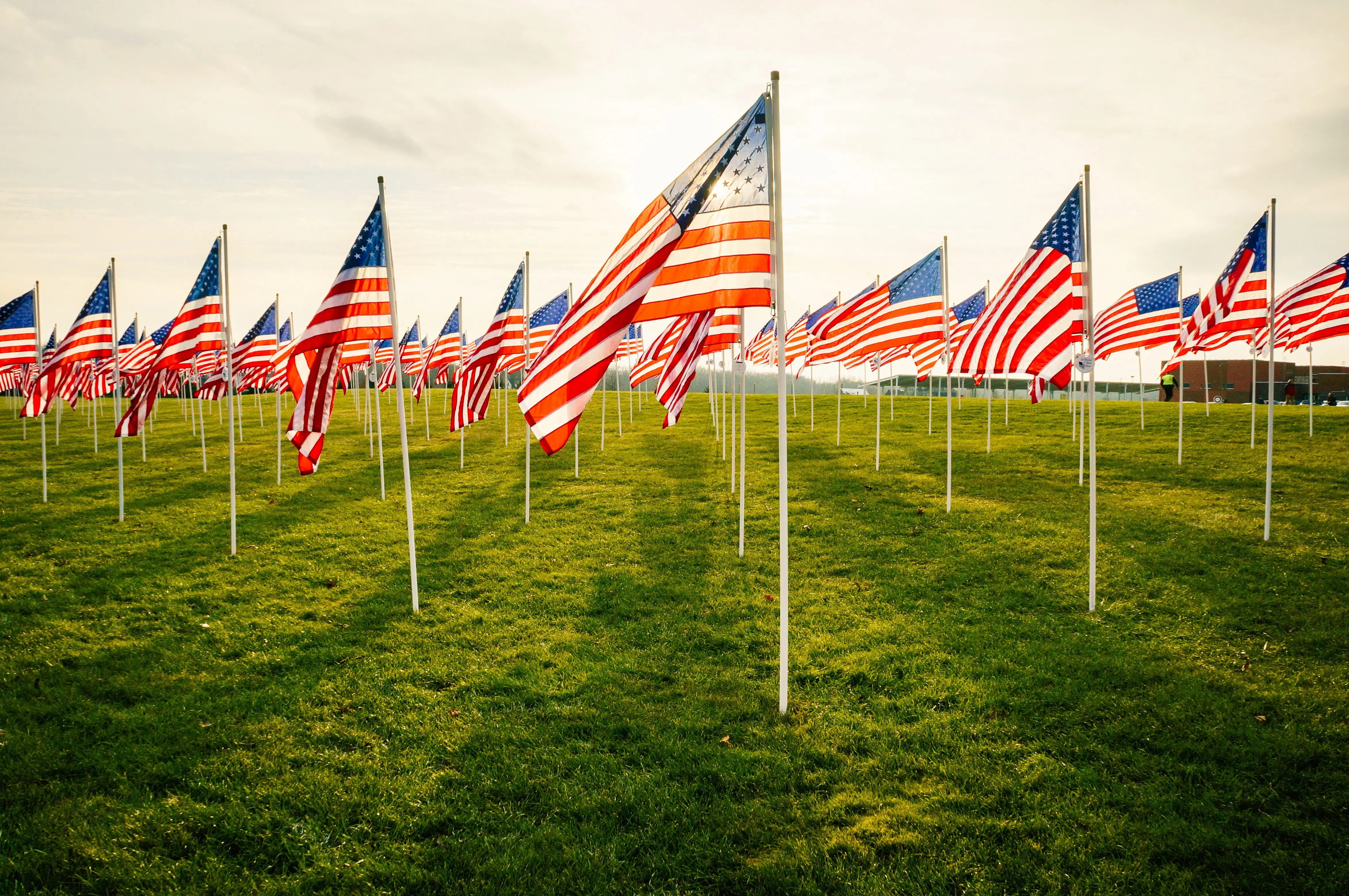 american-flags-stand-tall-on-grassy-field-2026-01-05-04-52-10-utc