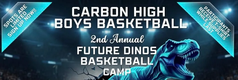 carbon-basketball-2