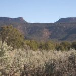 Conservation groups restart lawsuit over shrinking of Bears Ears, Grand Staircase monuments