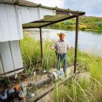 Utah is paying farmers to conserve Colorado River water. Is it working?