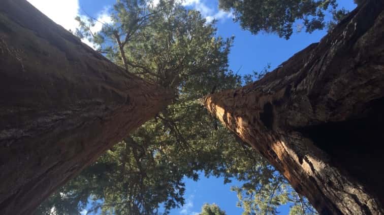 tmp3bb4de0d-c99a-4d65-8918-fe2aa5a3bbdf-jpg