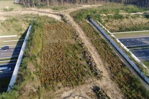 California’s U.S 101 to get animal overpass for wildlife California’s U.S 101 to get animal overpass for wildlife