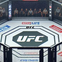 AI-generated image Description -- UFC Ring