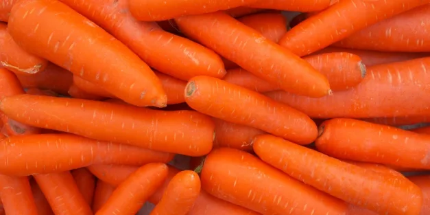 1 dead, 15 hospitalized in E. coli outbreak linked to organic carrots