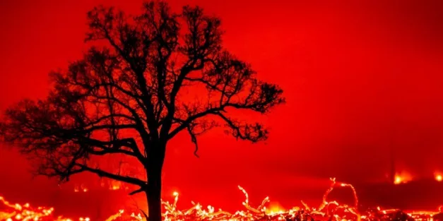 Oklahoma wildfires leave 4 dead, over 200 injured