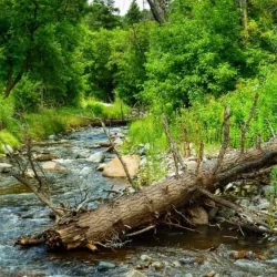 Ruidoso River in Ruidoso^ New Mexico.