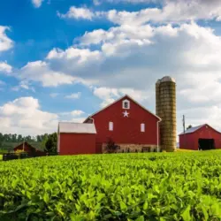 Beautiful farm field and barn on a farm near Spring Grove^ Pennsylvania.
