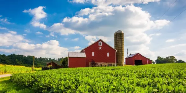 President Trump announces $12 billion aid package for farmers in the U.S.