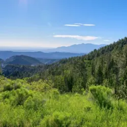 Larb Hollow Overlook along Utah Scenic Byway 12 near Torrey^ Utah