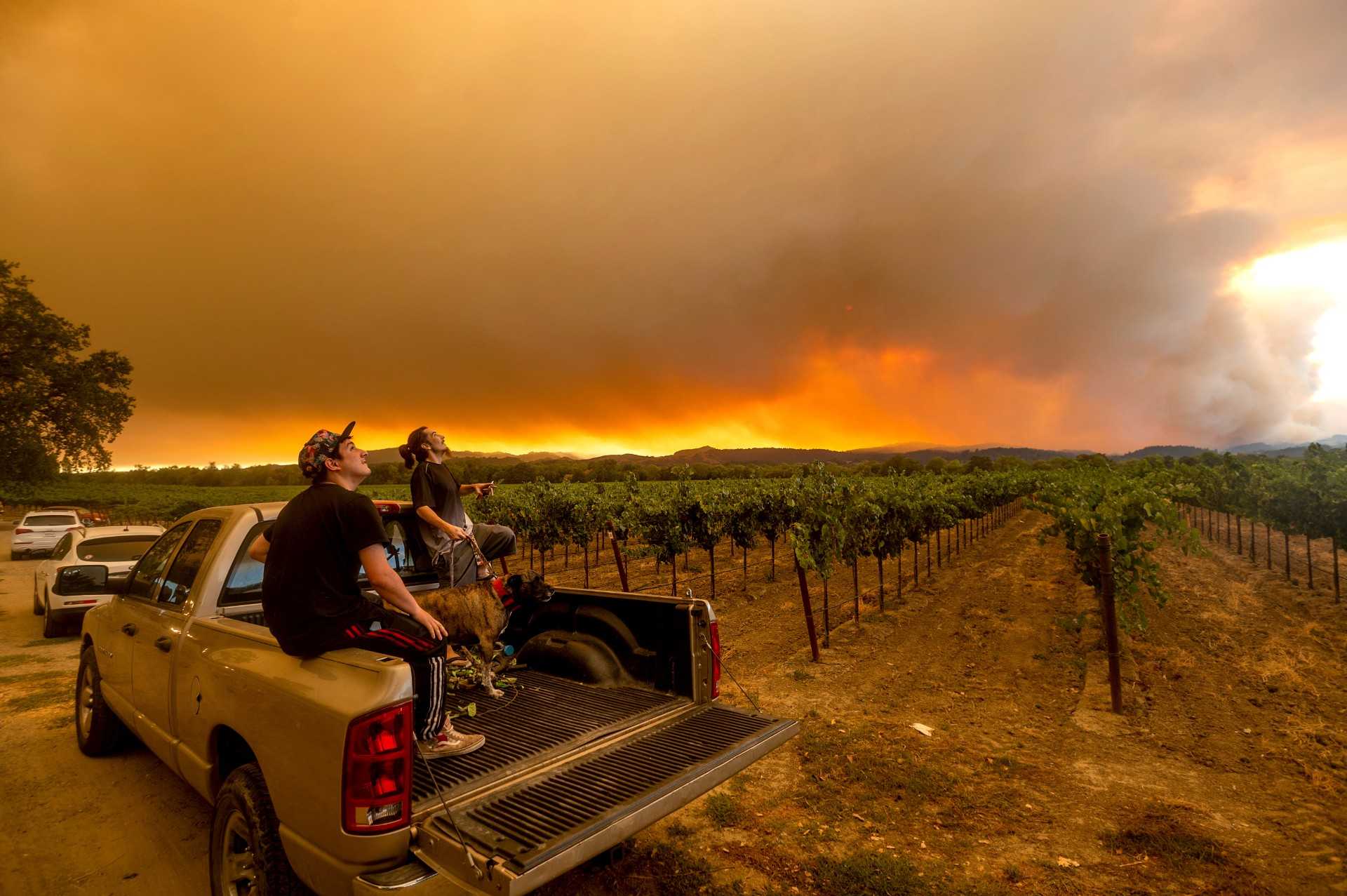 western-wildfires-wine-crisis-i-1-1600951163