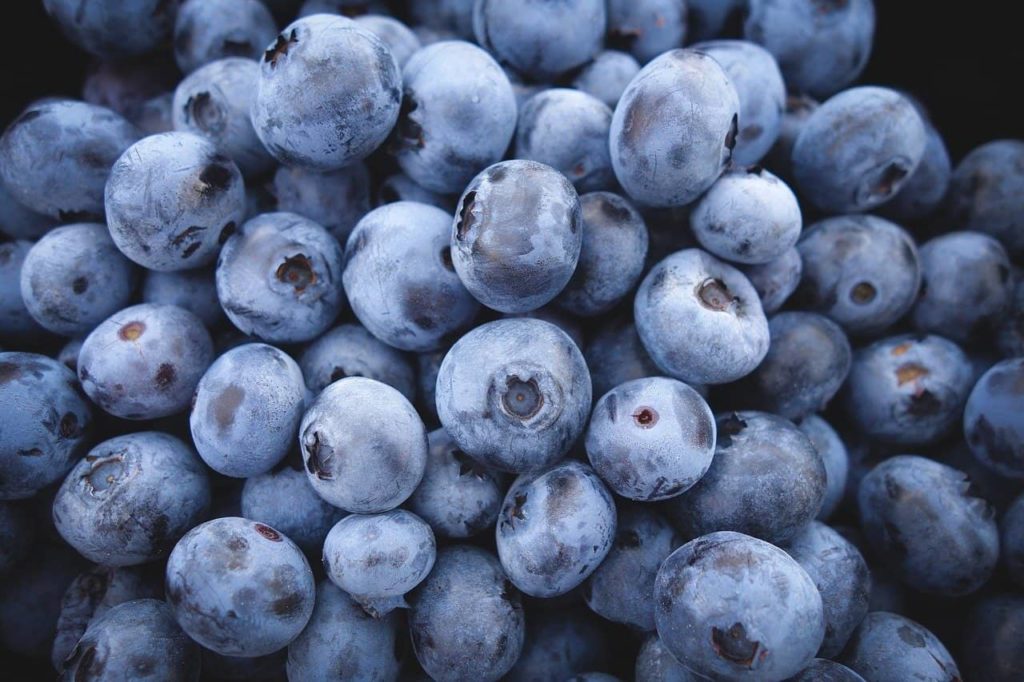 Blueberry Festival Happening June 4th and 5th in Alma 96.7