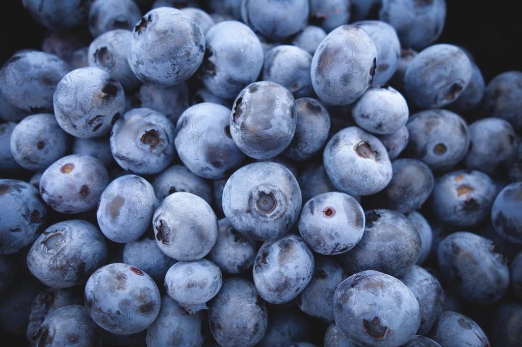 Georgia Blueberry Festival Happening June 4th And 5th In Alma 96 7 
