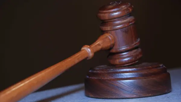 31448256-31448256672829