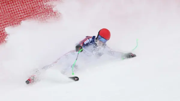 8d6c85ed-3023-478e-a567-9a07df11df93590867