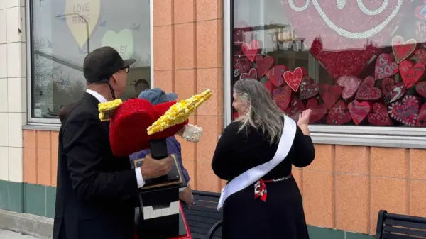 anne-surprise-698f2ad111541487343