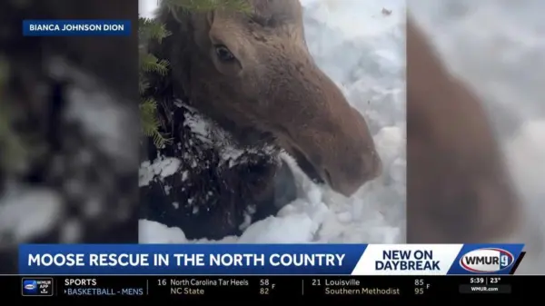 c129c835-8923-416a-ac97-d17ba32610a1320428