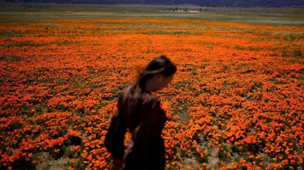 ap269c009f710ae3488250