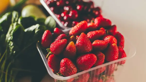 cnn-l19jb21wb25lbnrzl2ltywdll2luc3rhbmnlcy9jbw4zdxg3dtmwmdbpm2i2cna0ytlmzjr6-l19jb21wb25lbnrzl2fydgljbguvaw5zdgfuy2vzl2ntbjnkzzbjdjawmhkyn3a4yxo5nzcyaxi-jpg-69c2c6610bbfa512270