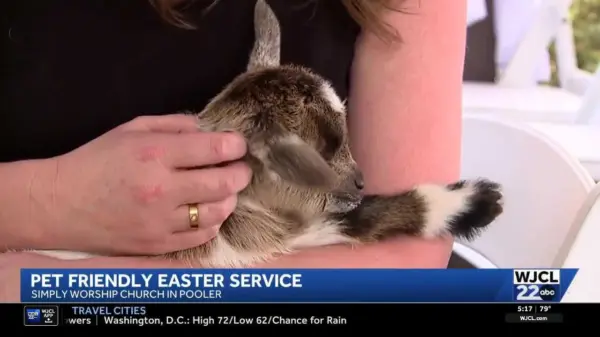 ef915c17-9596-45e0-b080-15c16e0a48b5593145