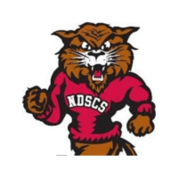 ndscs-logo