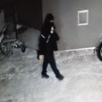 1-17-22-snowmobile-robber