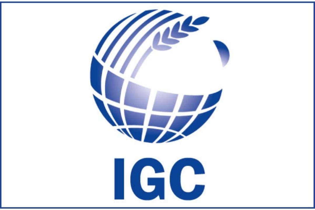 igc-logo_e-jpg
