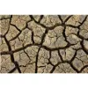 drought-jpg-7