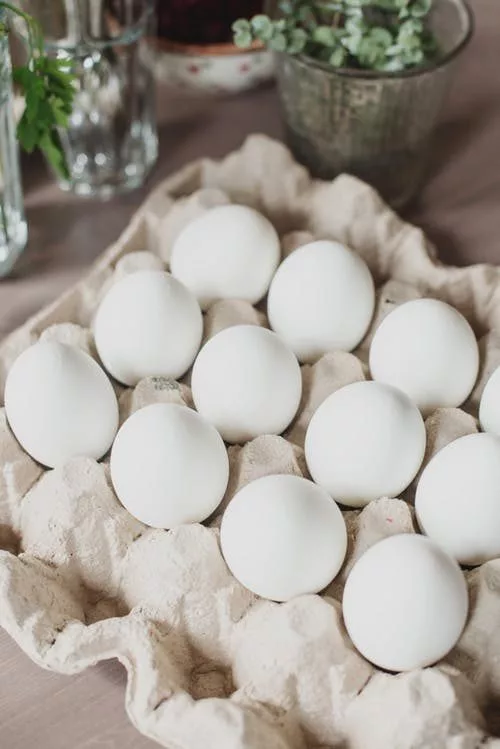 white-eggs-jpeg-9