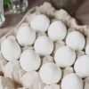 white-eggs-jpeg-10