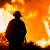 LA Wildfires: Death toll rises to 24 as winds intensify in area