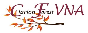 VNA-Website-Logo VNA-Website-Logo