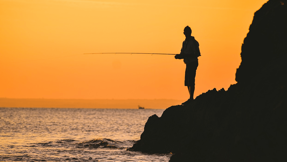 fishing-courtesy-pixabay