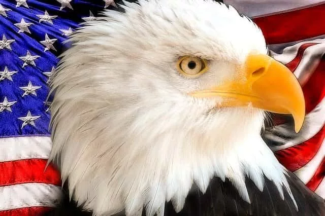the-eagle_640-jpg-4