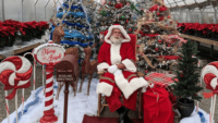 picturewithsanta-png-3