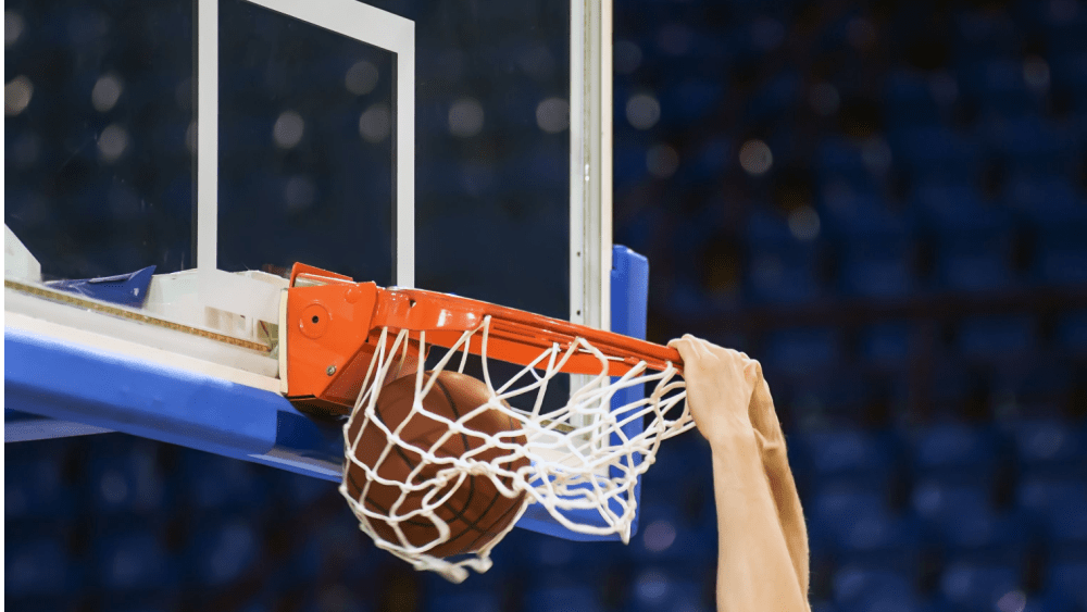 shutterstock_1483081853828298