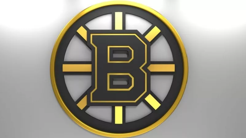 Emblem of the Boston Bruins. The Boston Bruins are a professional ice hockey team. Logo for presentation or infographics. 3D render. 3D Illustration