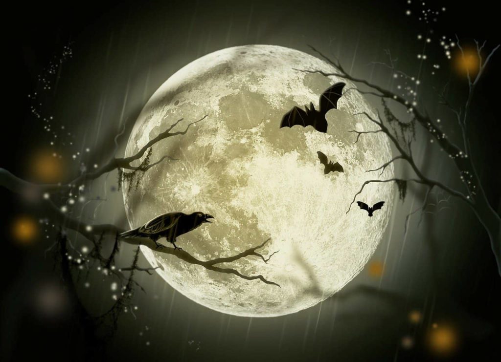 Go A Little Mad In Carroll Thursday With Some Spooktacularly Good Sales - Vimarsana News