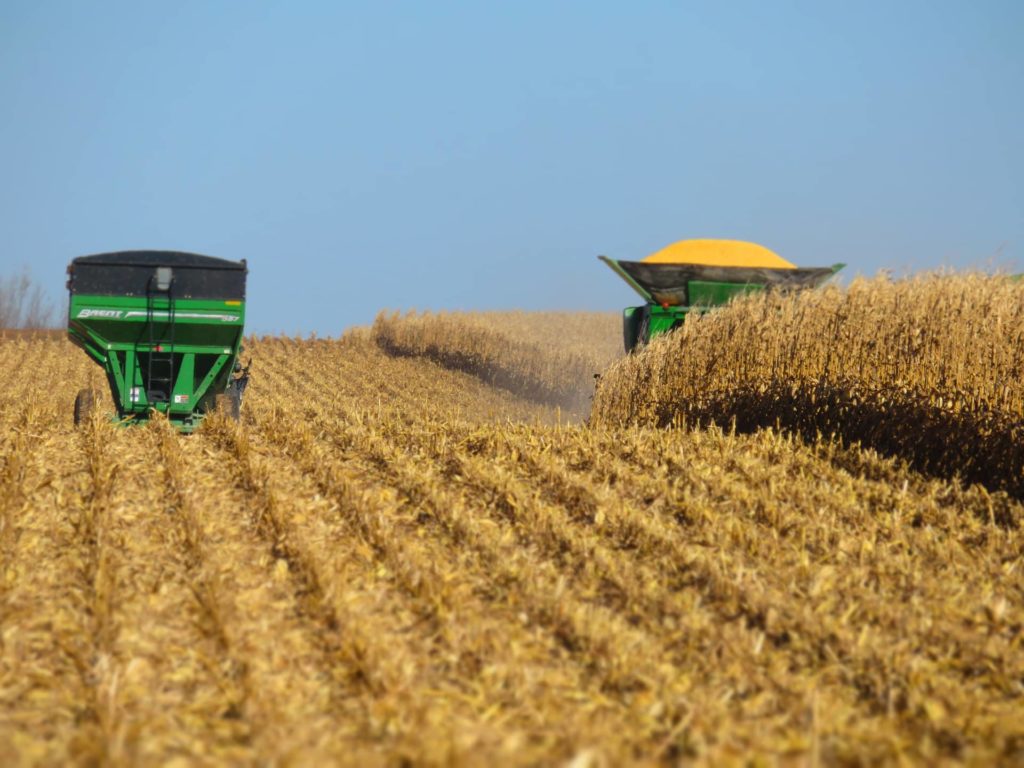 Two Percent Of Corn Harvest Complete According To Latest USDA Iowa Crop Progress And Condition Report - Vimarsana News