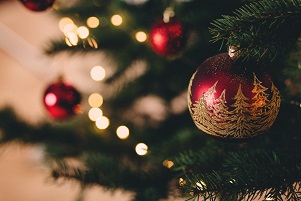Annual Tree Lighting At Thomas Jefferson Gardens In Greene County Scheduled For Sunday - Vimarsana News