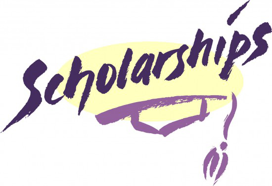 Applications Now Open For 2023 Carroll County Ag Scholarships - Vimarsana News